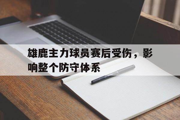 雄鹿主力球员赛后受伤，影响整个防守体系